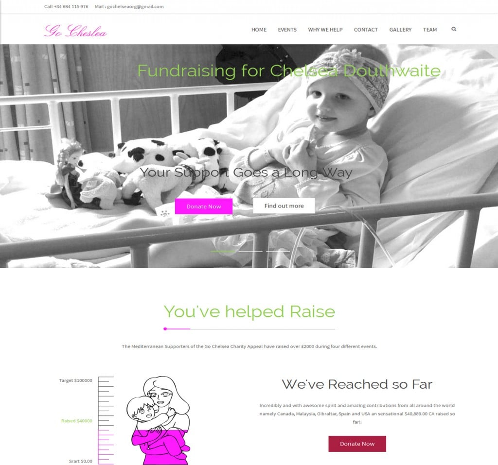 Portfolio Image 2 - Go Cheslea