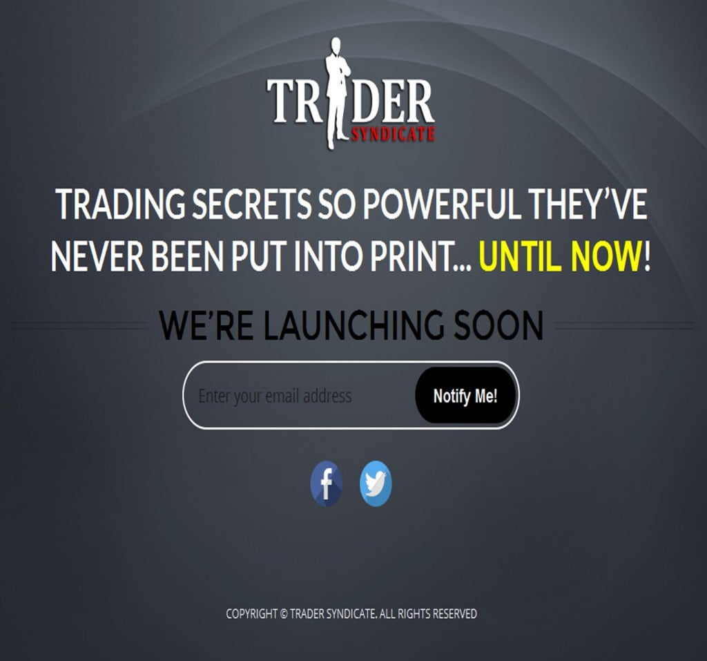 Portfolio Image 2 - Trader Syndicate