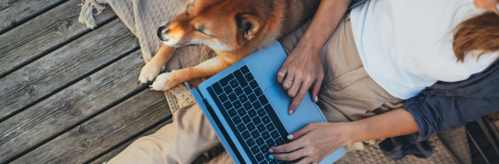 Copywriting vs. Content Writing: What’s the difference? Which one is best for you?