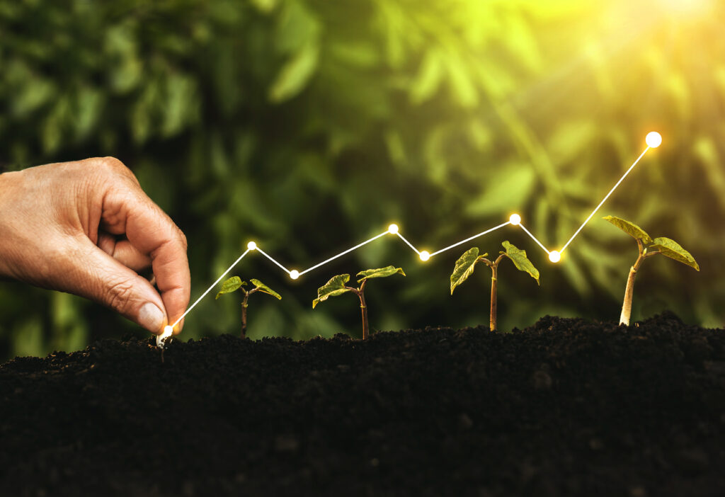 Plant the Seeds for a Bigger Garden