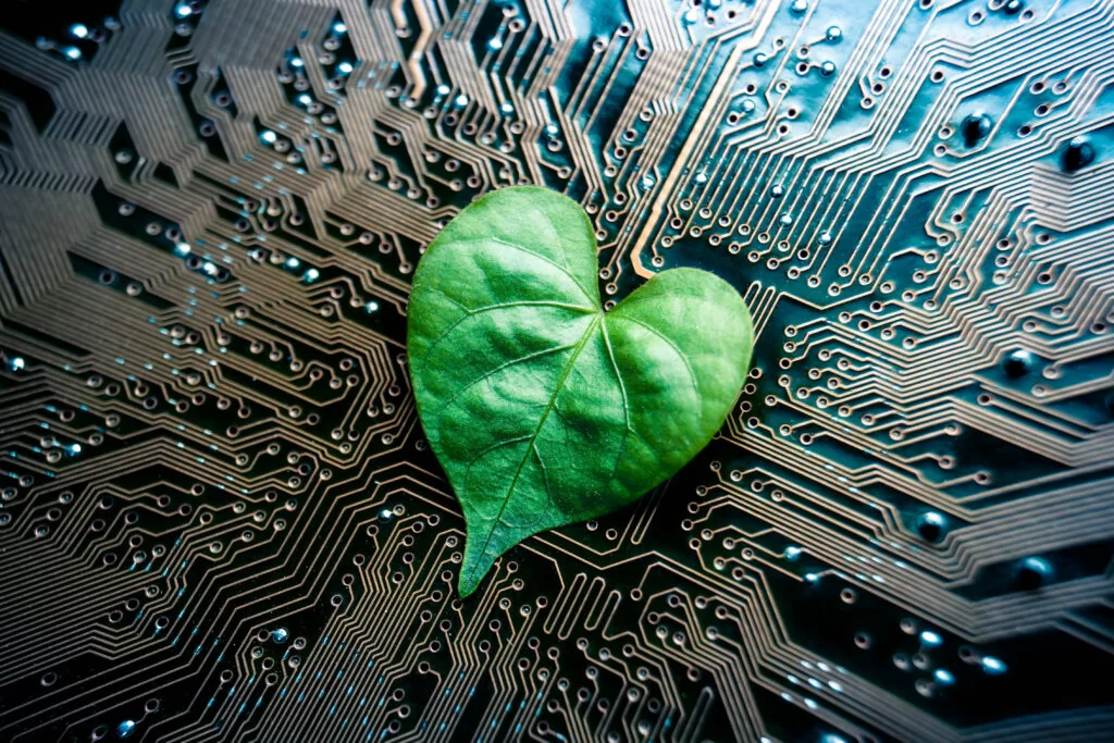 How to Elevate Your Brand with Sustainable Web Design
