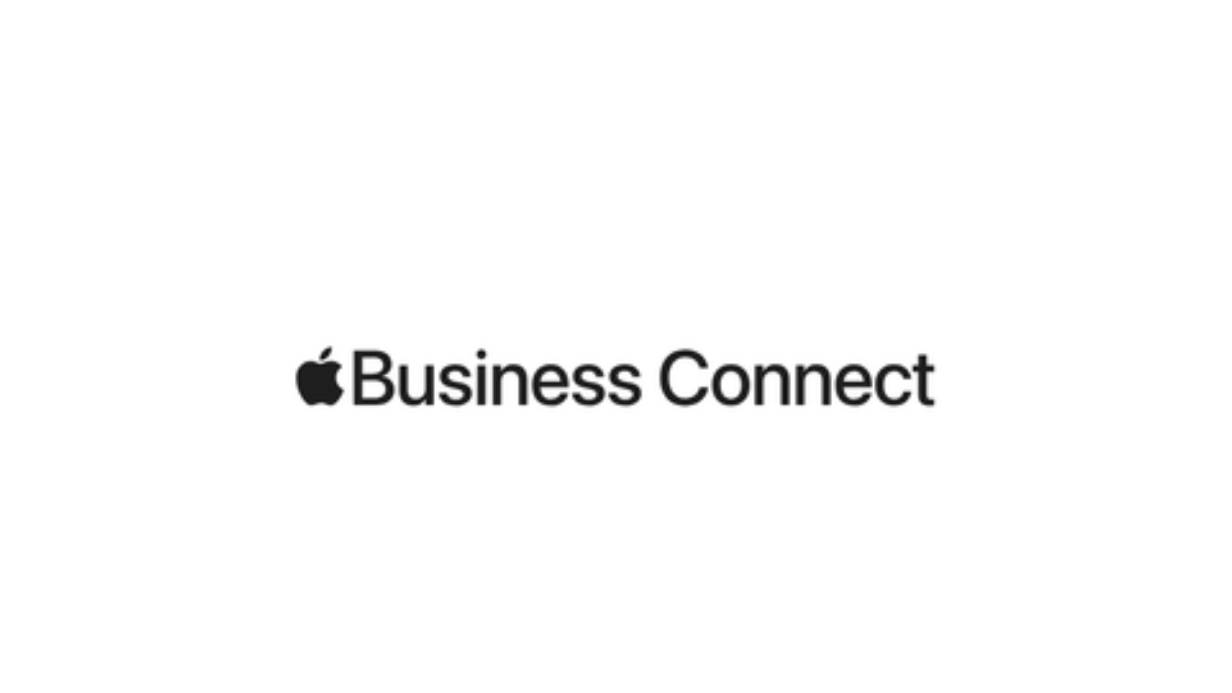 Apple Business Connect Management Service