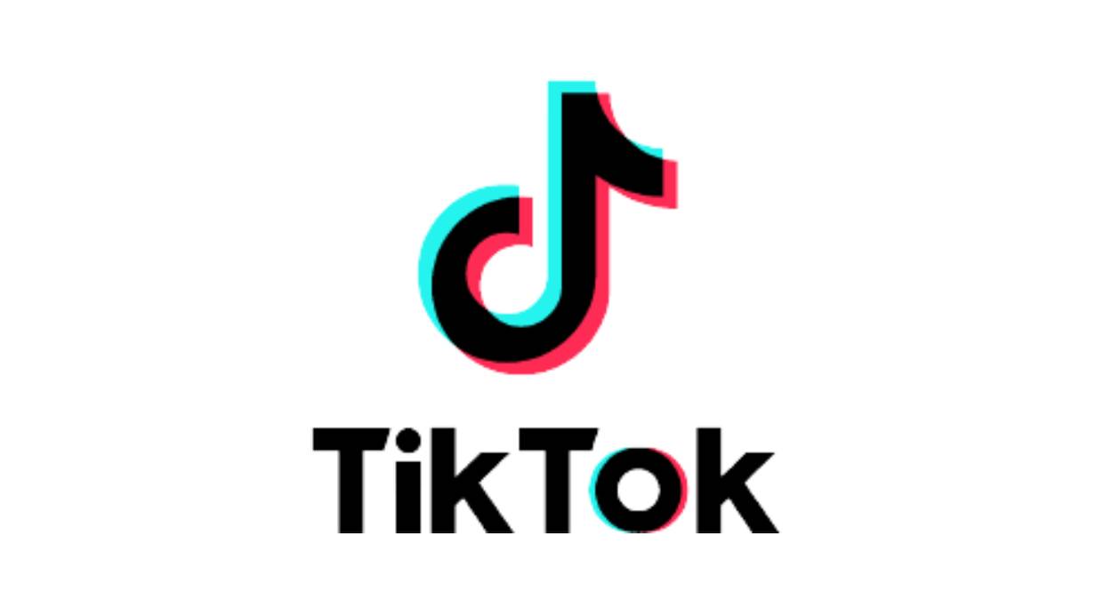 TikTok Ads Monthly Management Service