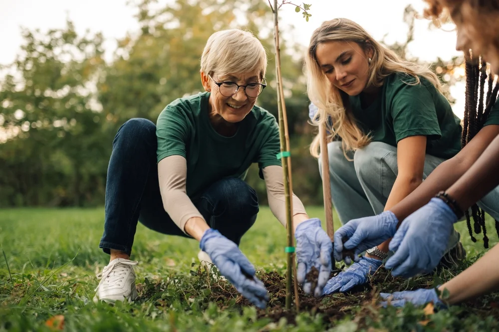 Nonprofit Support Team