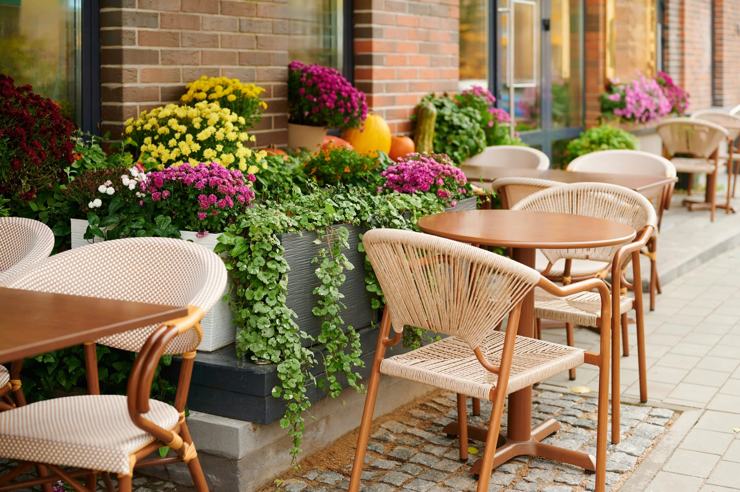 Charming outdoor cafe featuring wooden tables surrounded by vibrant potted plants